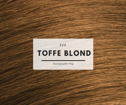 210g Clip in Extensions Echthaar Toffee blond #14 210g  in 50cm Haarlnge